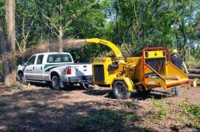 Rent Chippers/brush Removal